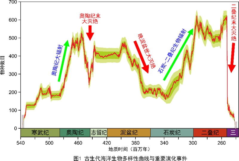 各抒己见 第6页