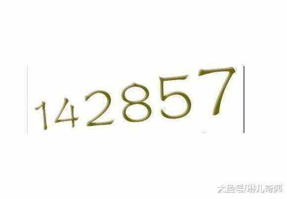 7777788888一肖一码,探索数字世界中的奥秘，一肖一码与7777788888的神秘联系