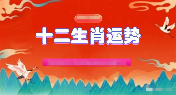 澳门今一必中一肖一码西肖,澳门今一必中一肖一码西肖，探索与解析